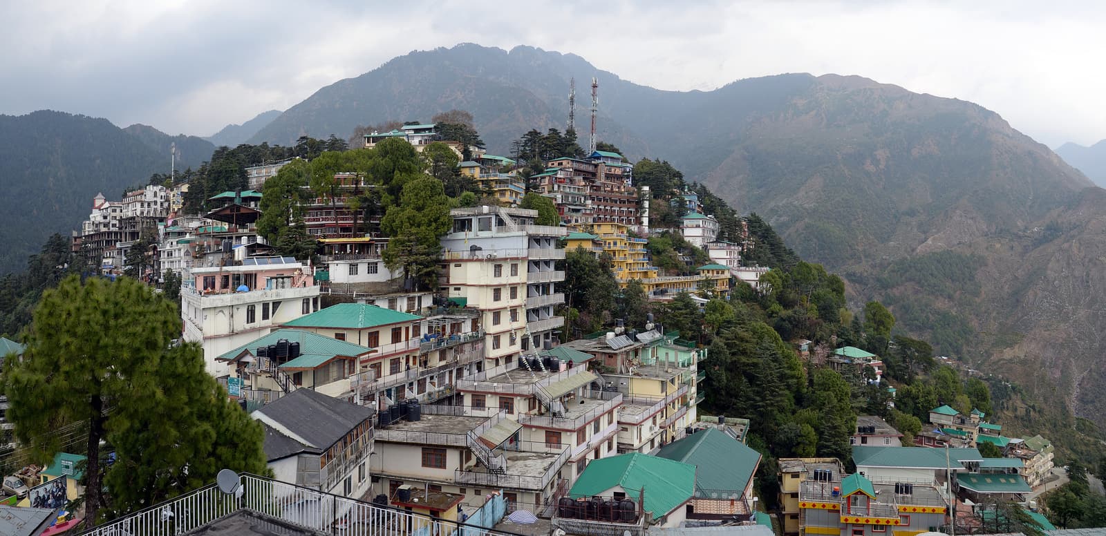 The stacked hillside buildings of McLeod Ganj below forested mountains