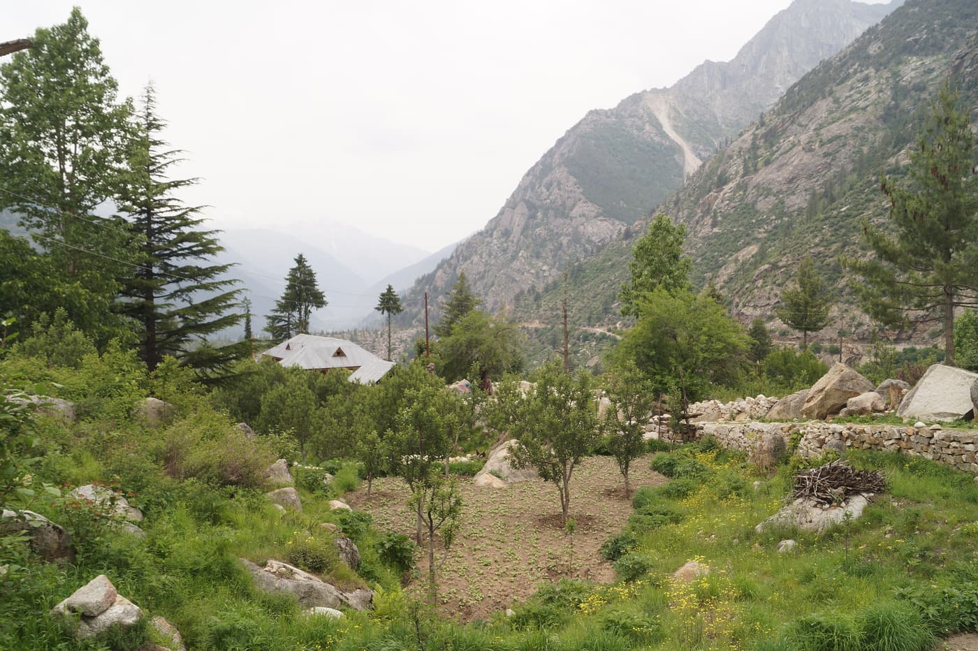 Wooden houses and orchards in Chitkul village in the Baspa valley, Kinnaur